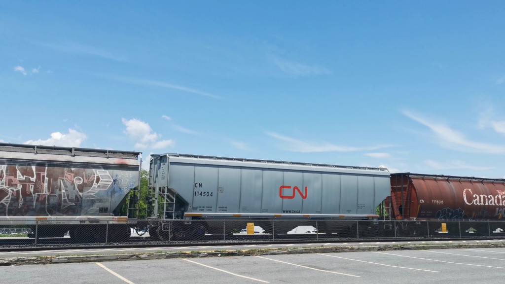 CN 114504